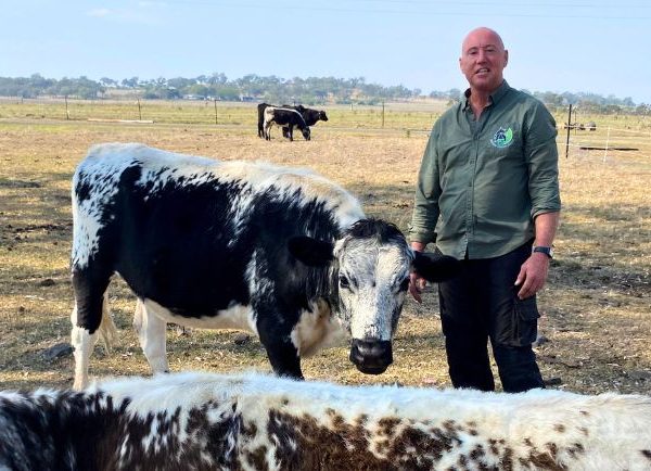 Jason on his farm with a cow