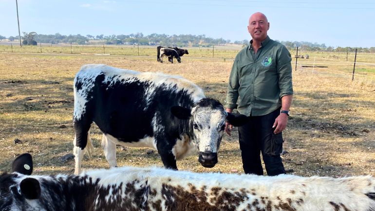 Jason on his farm with a cow